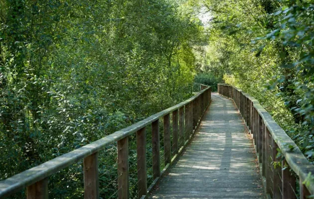 Photo de l'espace naturel du domaine de Careil 