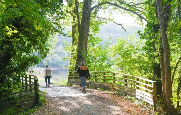 Photo de l'espace naturel de la forêt de la Corbière 