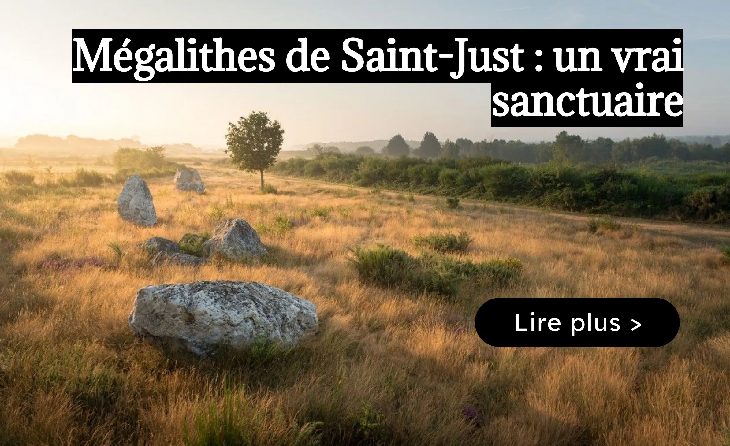 site des mégalithes de Saint-Just